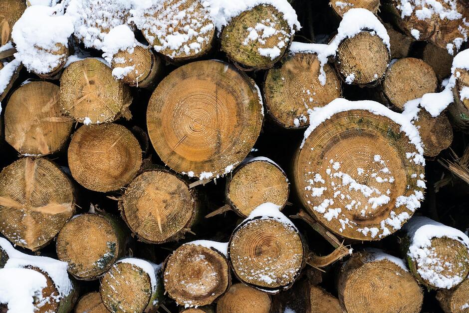 Stos ściętego drewna przykryty śniegiem.