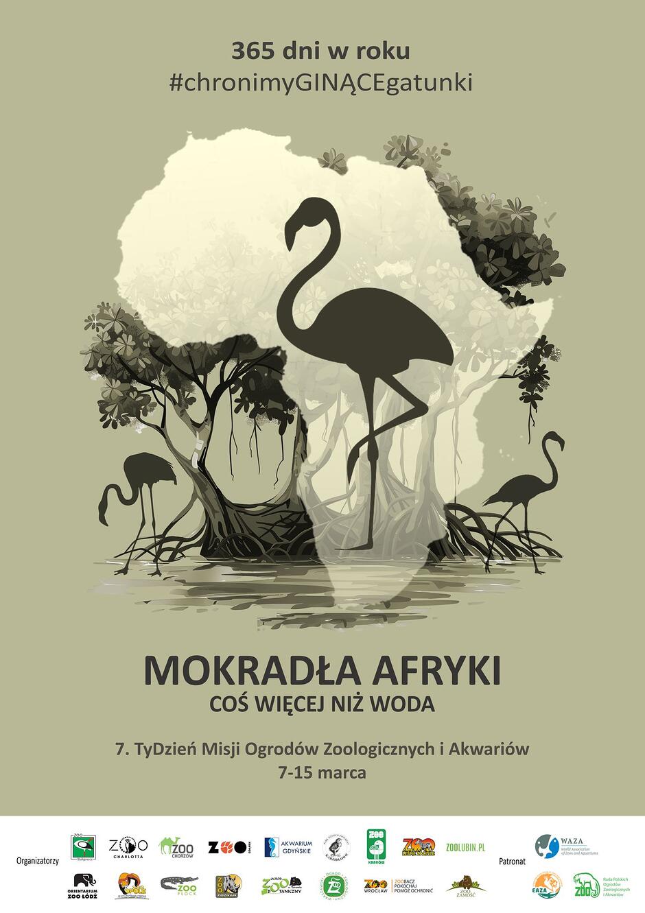 Plakat w kolorze sepii z grafiką przedstawiającą kontur Afryki, ptakami i roślinami na mokradłach.