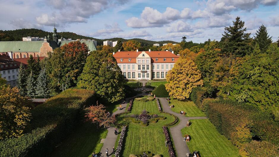 Zjecie z lotu ptaka, widok na park z ogrodem francuskim, drzewami i pałacem. 