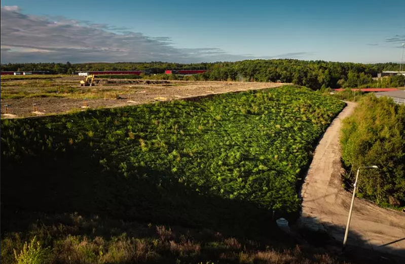 teren częściowo zielony, częściowo pokryty piaskiem