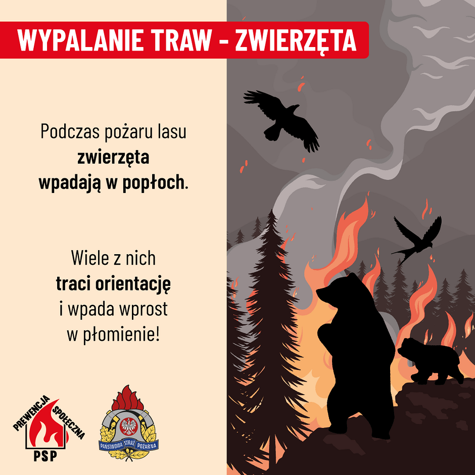 Na grafice widać napisy informujące o tym, że zwierzęta cierpią na skutek wypalania traw i pożarów lasów. Pokazane są też obrysy zwierząt, a w tle płonące drzewa
