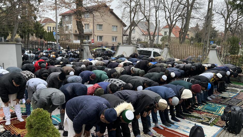 Image_20260320_115446_358