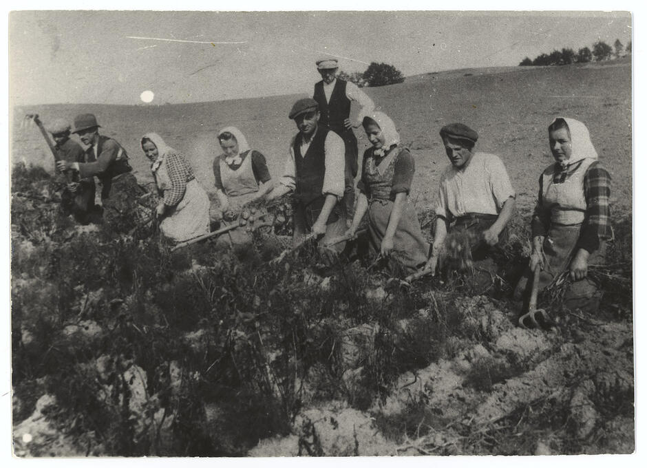 F_1560_VI_1_1_miniatura (1)