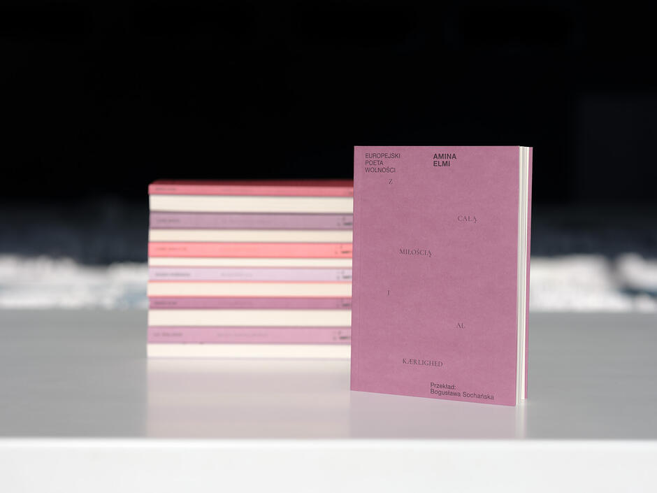 Zdjęcie stojącej książki, w tle jest kilka innych książek, położonych jedna na drugą