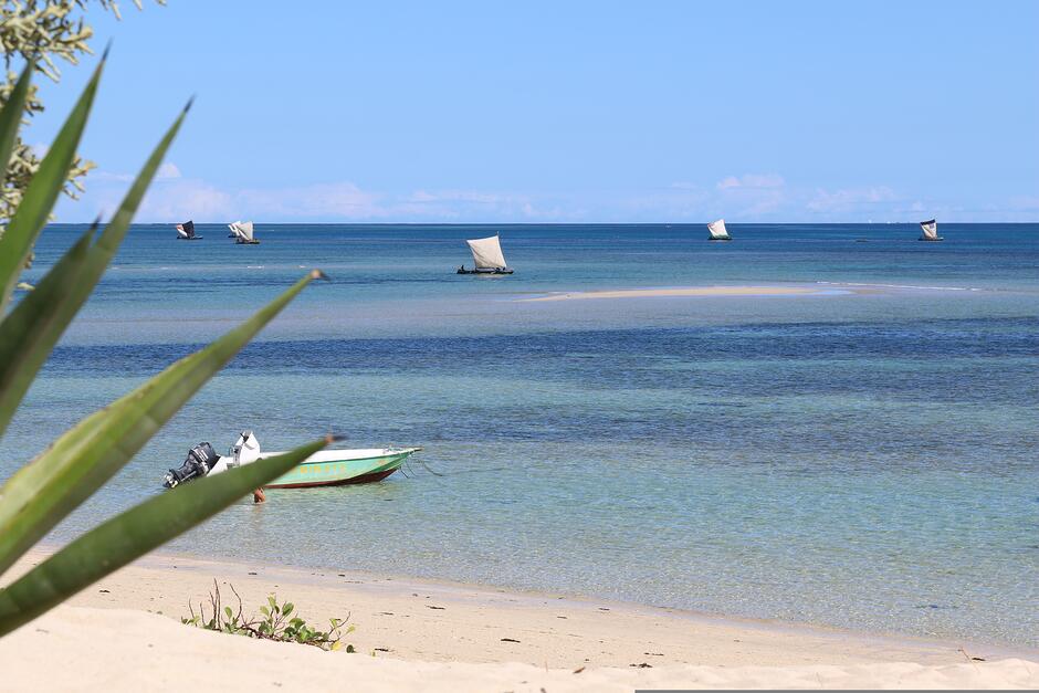 Zdjęcie przedstawia piaszczystą plażę i krystalicznie czystą, turkusową wodę, po której pływają tradycyjne łodzie żaglowe. Na pierwszym planie widać fragment zielonej roślinności oraz motorówkę zacumowaną blisko brzegu pod bezchmurnym niebem.
