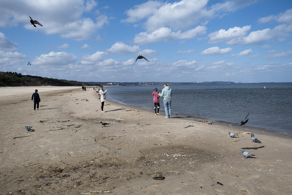 Po mokrym piasku na plaży chodzą ludzie, nad nimi latają ptaki.