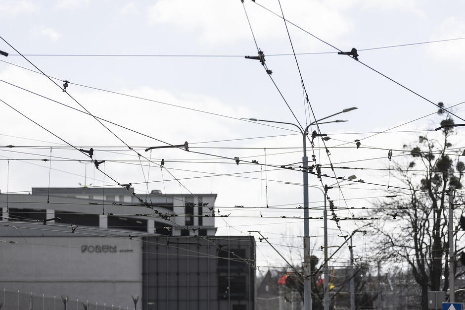 gcm_download_2500_2026_03_31_briefing_siec_trakcyjna_006_9000b2c0