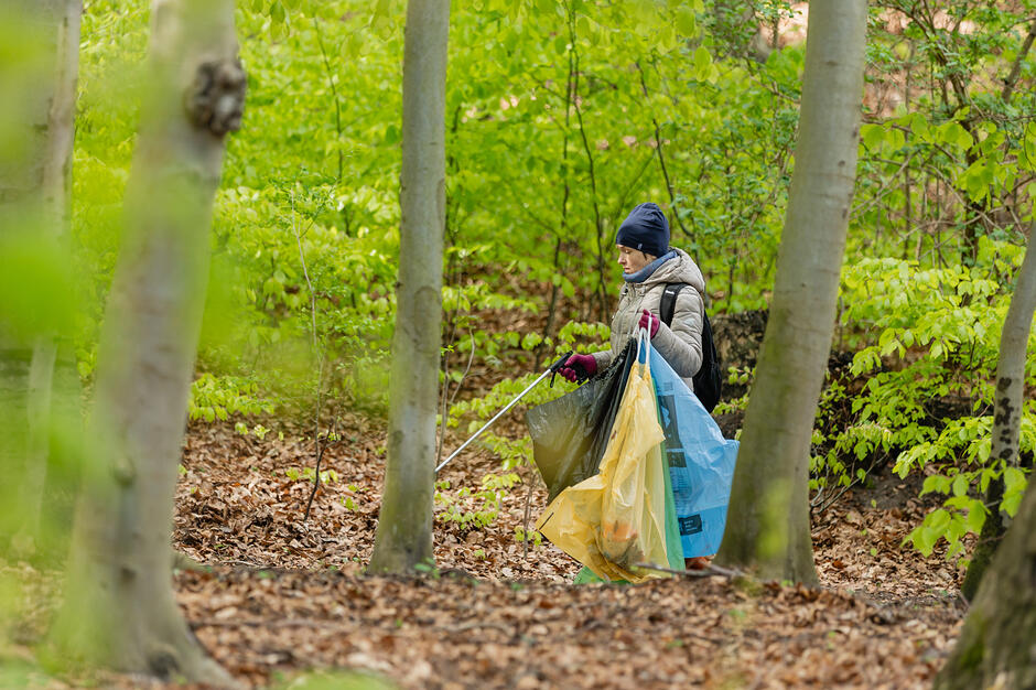 Człowiek w kurtce i czapce idzie przez las i niesie worki na śmieci. W ręku trzyma szczypce do podnoszenia z ziemi śmieci.