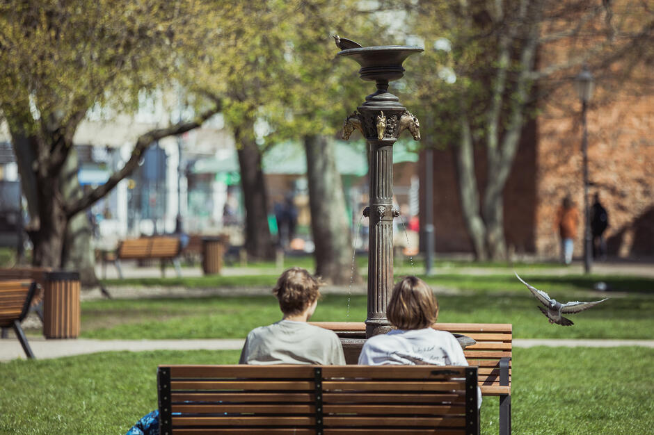 Dwie osoby siedzą na ławce w parku, obserwując zabytkową fontannę ozdobioną motywami końskich głów. W słonecznej scenerii widać również gołębia w locie oraz spacerowiczów w tle pośród zielonych drzew. 