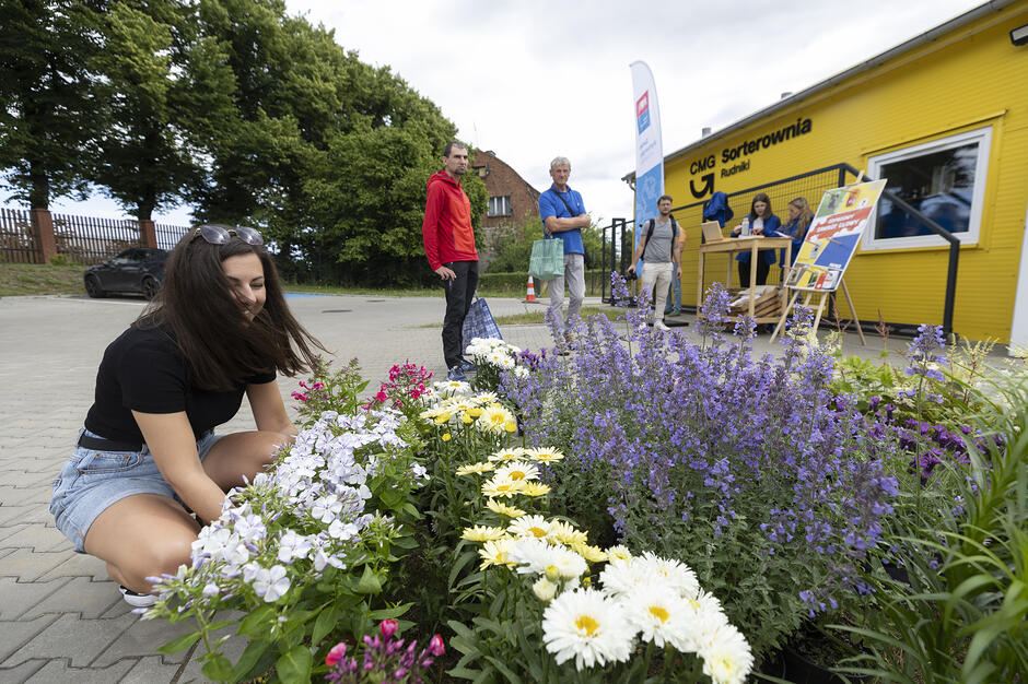 Na zdjęciu widać uśmiechniętą kobietę kucającą przy kolorowej rabacie pełnej kwiatów, takich jak stokrotki i fioletowa kocimiętka. W tle znajduje się żółty budynek z napisem „CMG Sorterownia Rudniki” oraz grupa osób obserwujących otoczenie.

