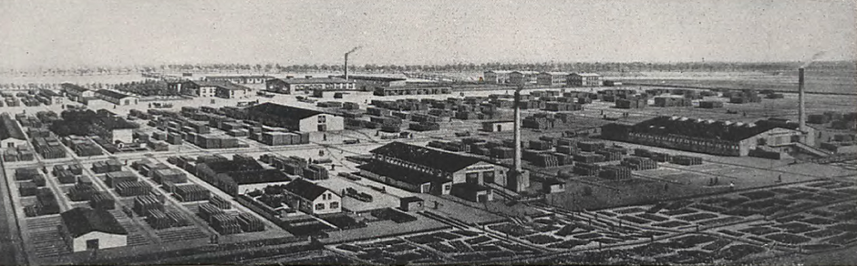 Jewelowski_Salomon_Julius_tartak