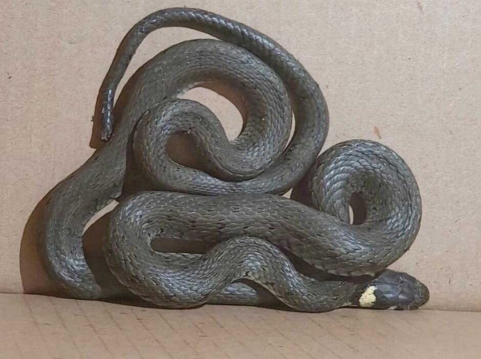 674177696_1267300732258751_1830440722660534178_n