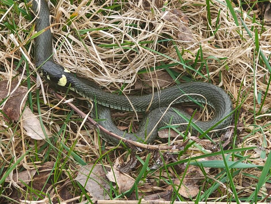 676801515_1267300842258740_1407264610021828519_n