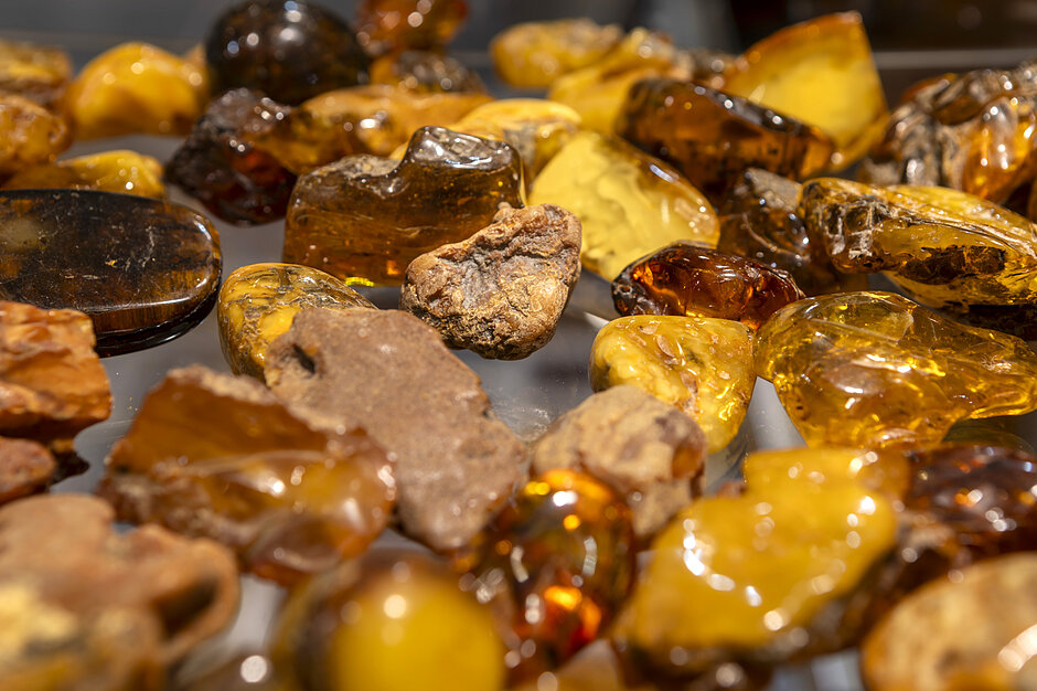 Bryłki bursztynu, leżące obok siebie na szklanej tafli