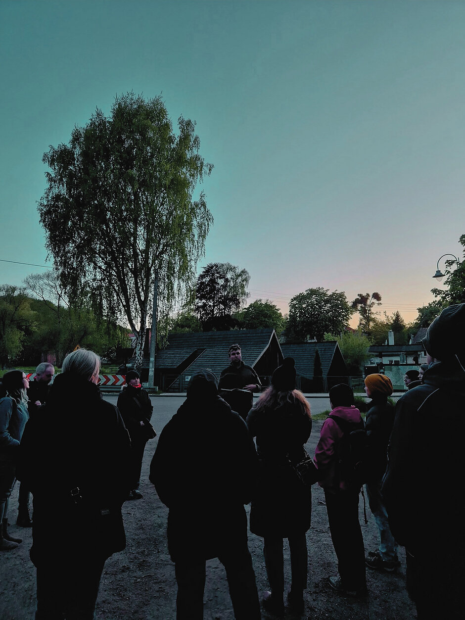 Zdjęcie dekoracyjne, przedstawiające uczestników spaceru chiropterologicznego