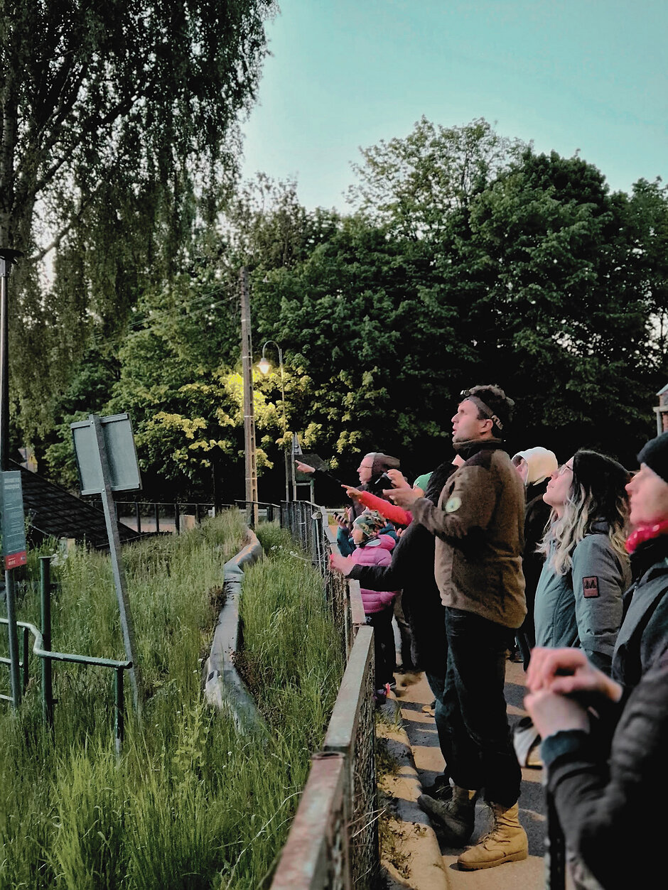 Zdjęcie dekoracyjne, przedstawiające uczestników spaceru chiropterologicznego