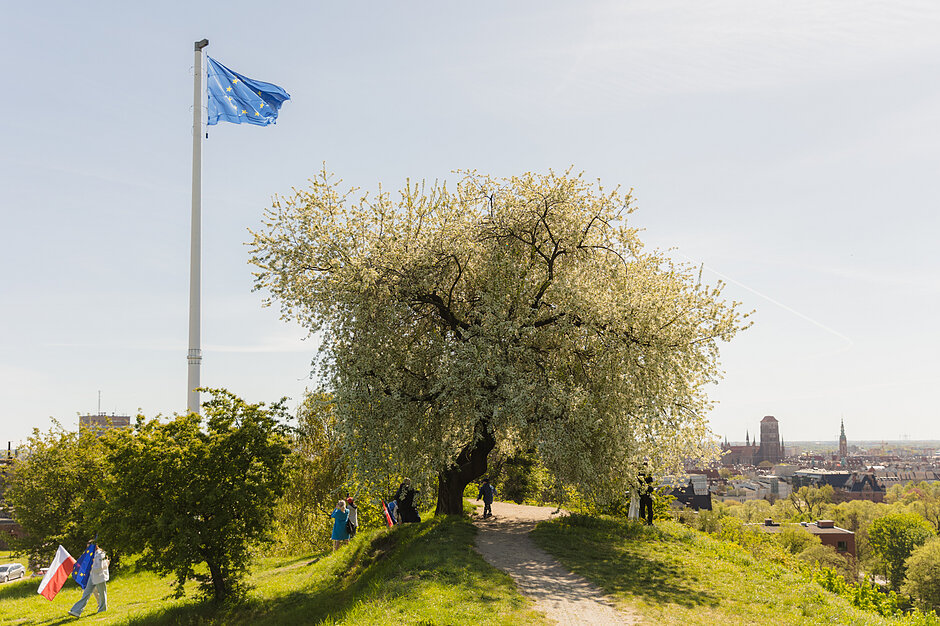 Park miejski z masztem, na którym powiewa flaga Unii Europejskiej. W tle stara zabudowa miasta.