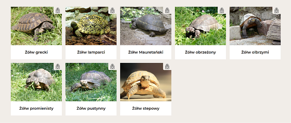 Wykaz żółwi mieszkających w gdańskim zoo