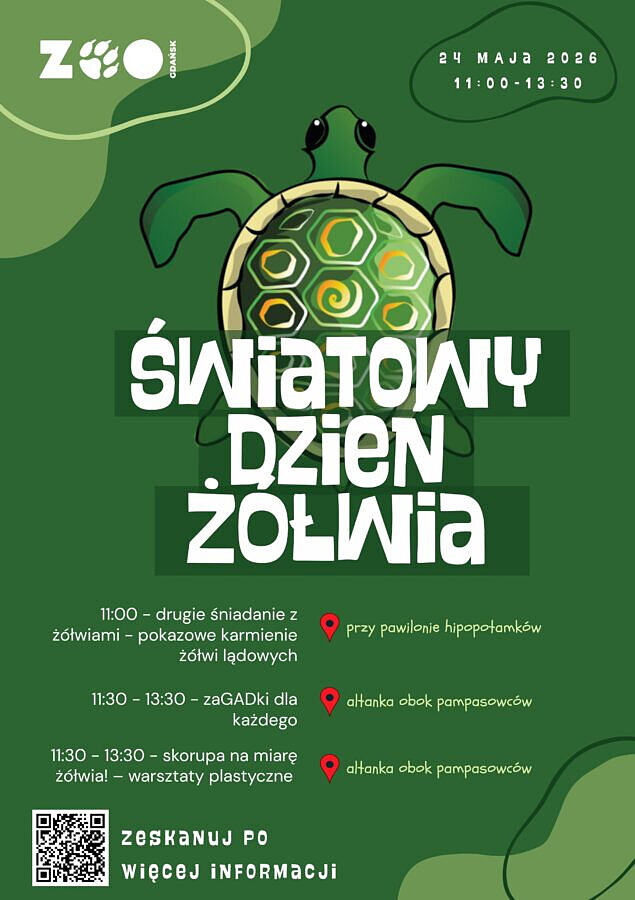Plakat zapowiadający Światowy Dzień Żółwia