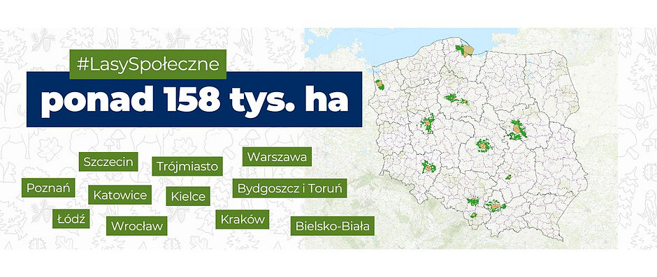 Grafika z mapą Polski i zaznaczonymi obszarami leśnymi objętymi pilotażem.