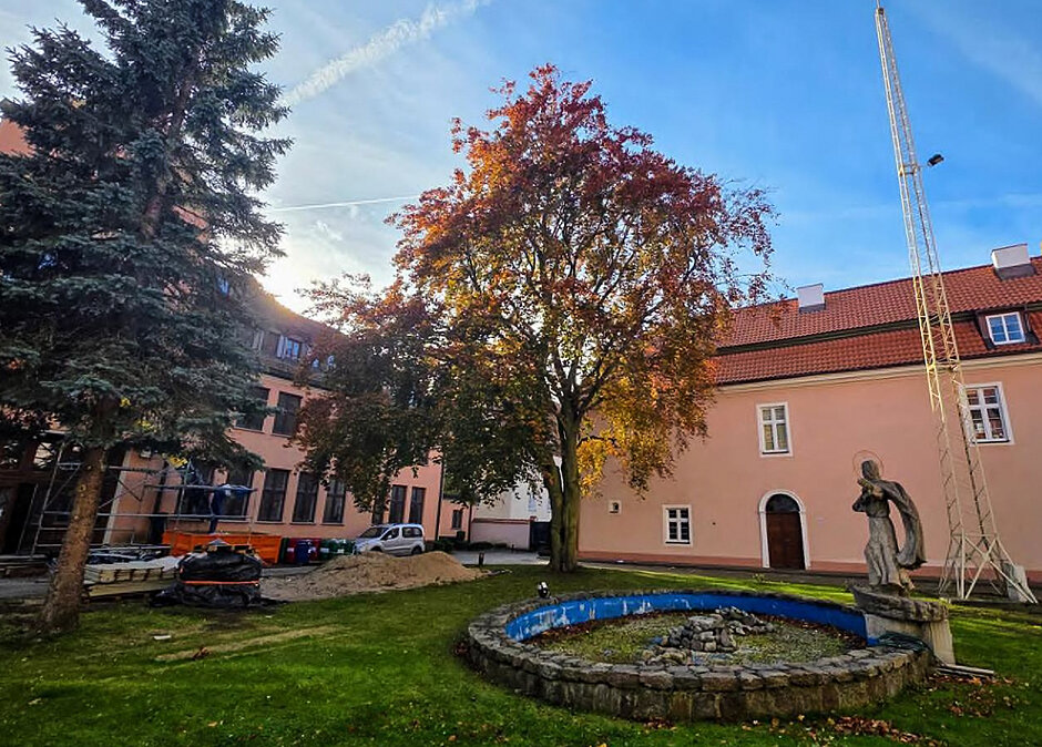 Drzewo na dziedzińcu otoczone zabytkowymi budynkami.