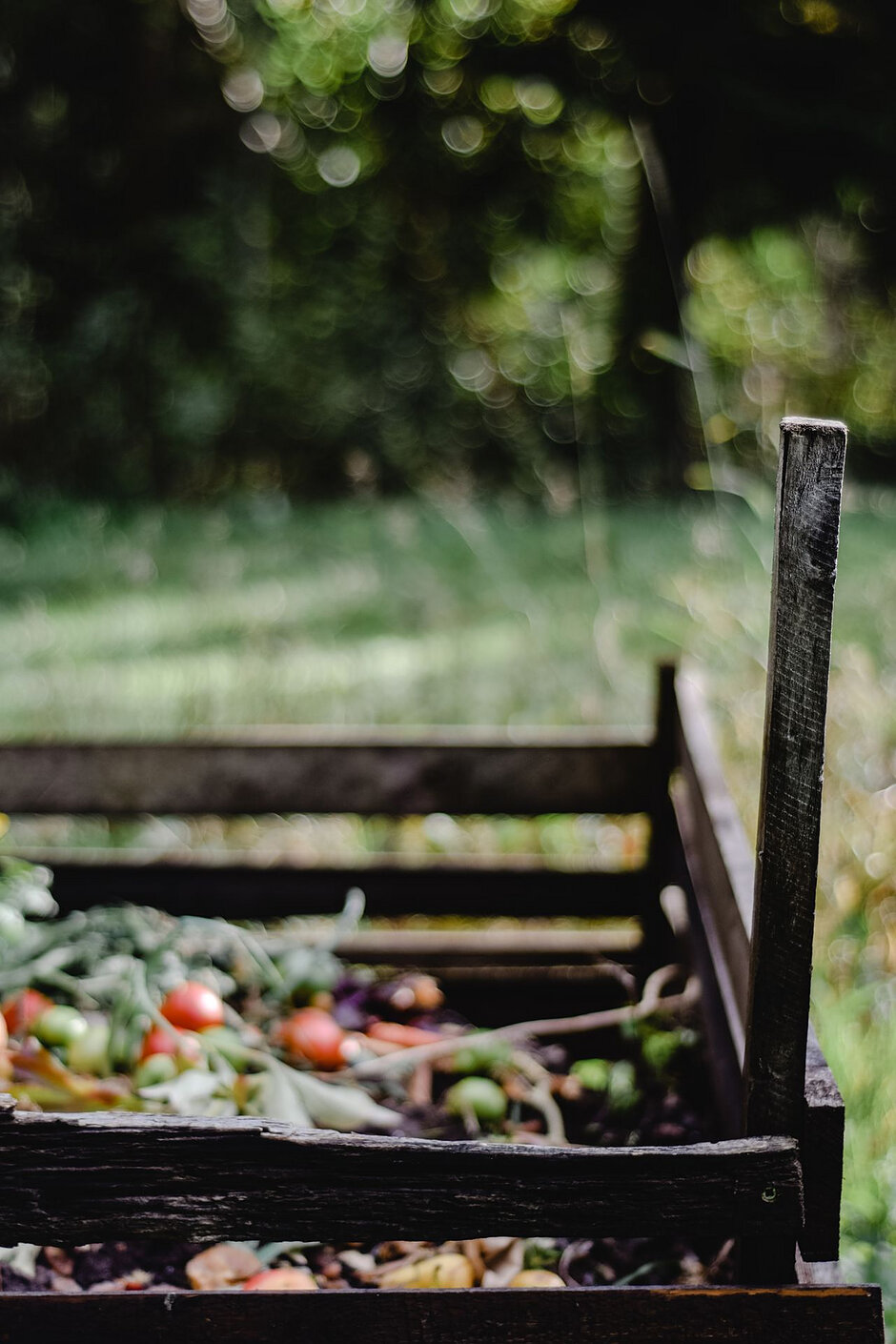 Zdjęcie przedstawia drewniany, ogrodowy kompostownik wypełniony organicznymi odpadkami, wśród których widoczne są m.in. pomidory i zielone części roślin. Konstrukcja znajduje się na tle zielonego, lekko rozmytego ogrodu, co podkreśla naturalny proces przetwarzania bioodpadów.
