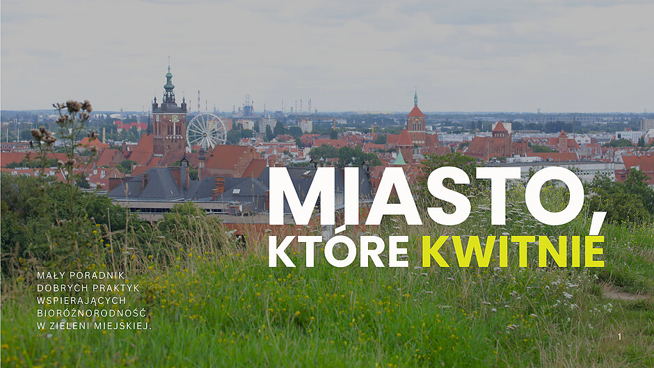 Grafika ze zdjęciem trawnika w mieście i widokiem starych budynków.