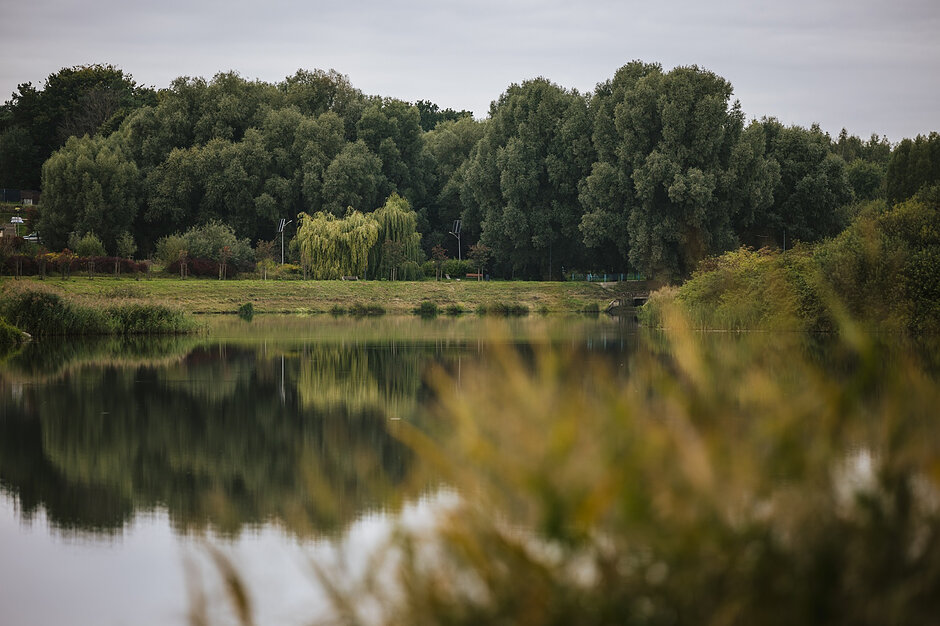 Park Południowy - widać zielone drzewa obok akwenu 
