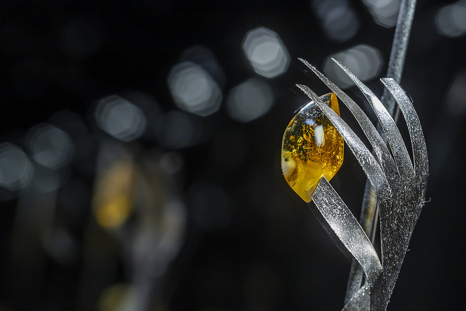 2027-06-27-wernisaz-muzeum-bursztynu-015.JPG