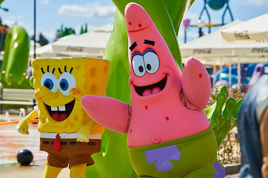 sponge