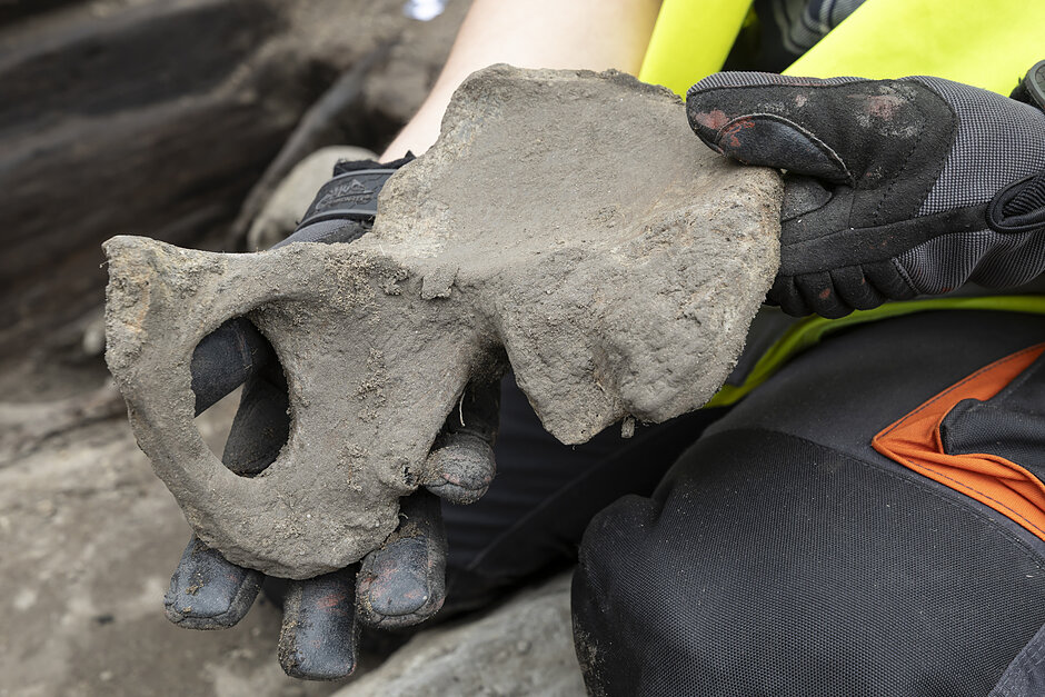 gcm-download-1920-2026-07-15-wykopaliska-014.11e85925