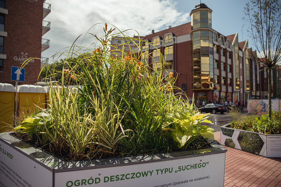 Ogrody deszczowe na Długich Ogrodach