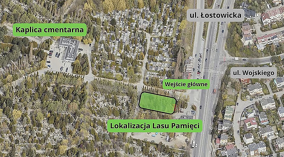 Mapa z fragmentem cmentarza, na którym zaznaczono położenie tzw. lasu pamięci.