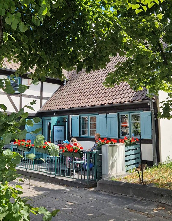 Ogródek przed kawiarnią w otoczeniu kwiatów i zieleni