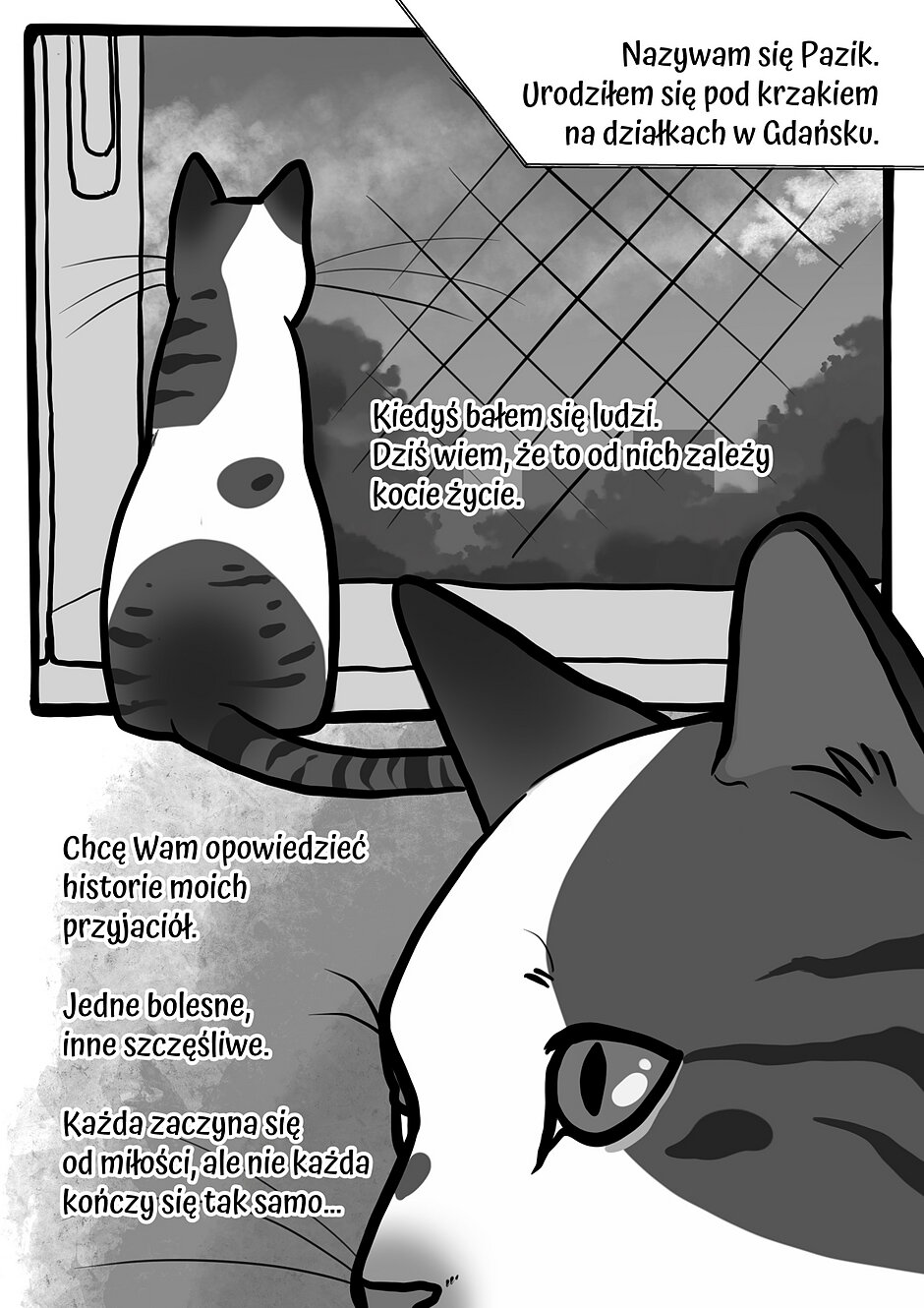 Komiks Skład v4-1_page-0005