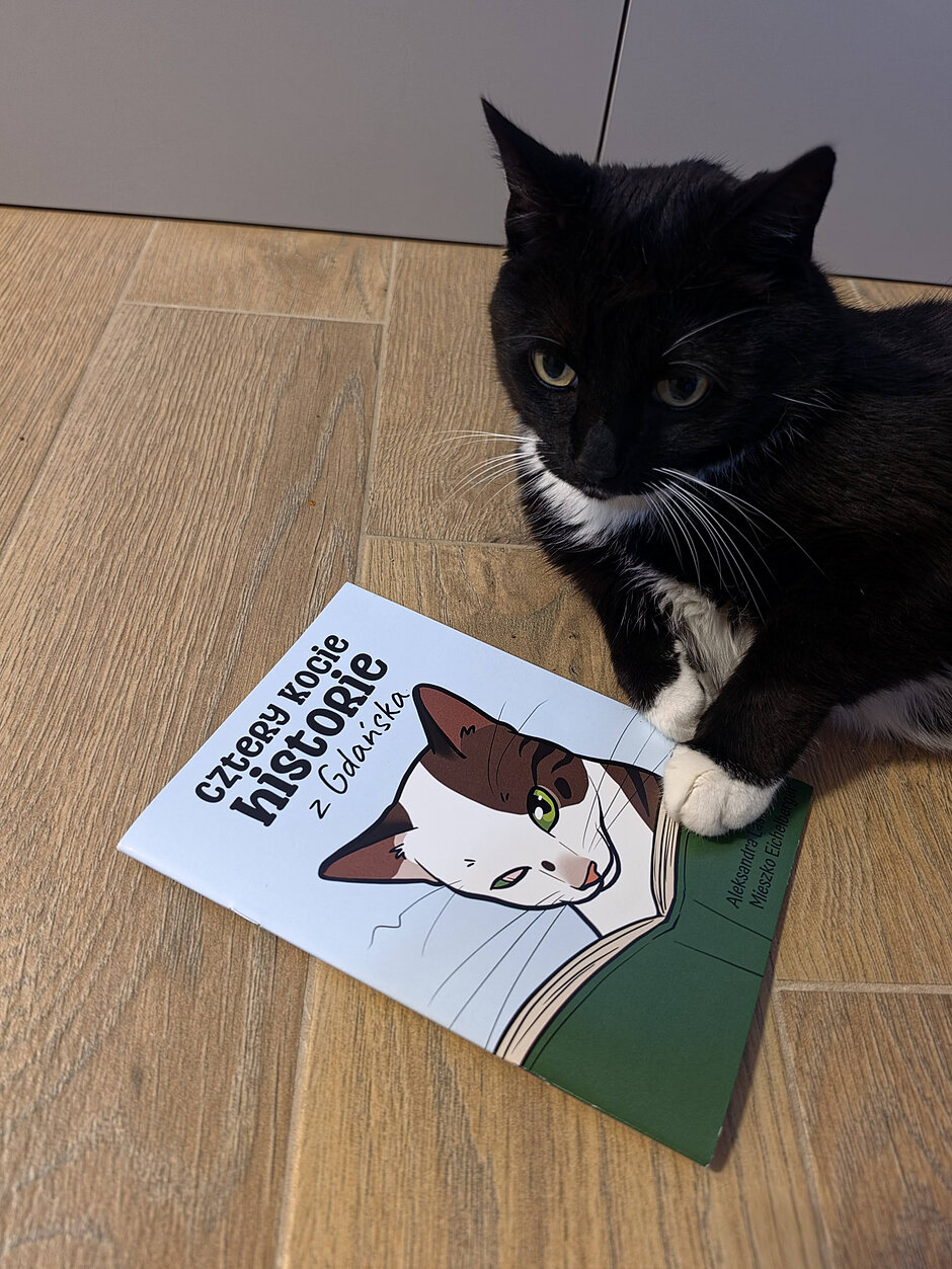 Zdjęcie dekoracyjne przedstawiające kota trzymającego komiks w łapkach