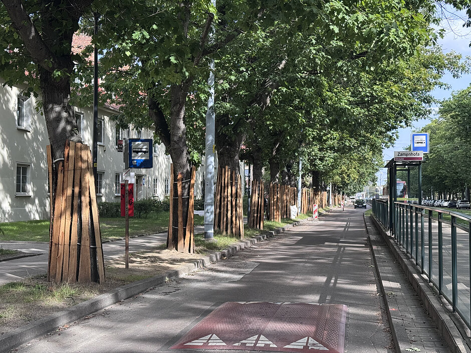 Zdjęcie ulicy na gdańskiej Strzyży 