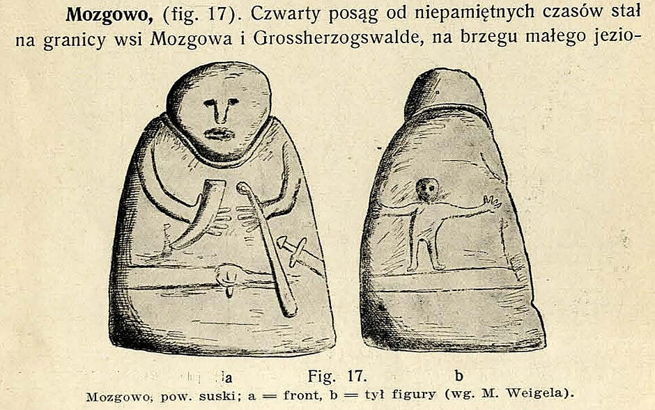 Szkic_baby_pruskiej_wg_M._Weigela