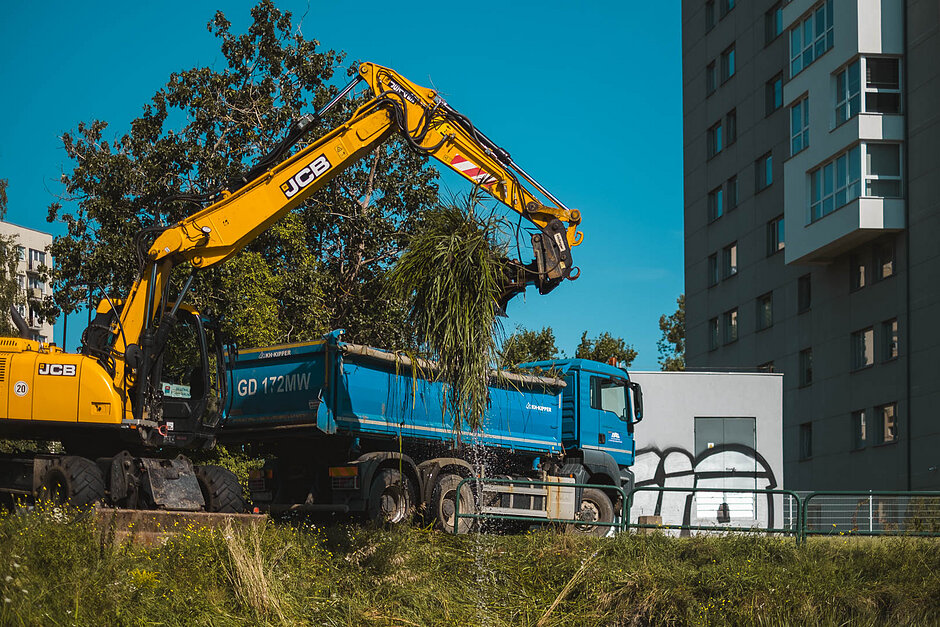 koparka wrzuca naręcz gałęzi z liśćmi na wywrotkę