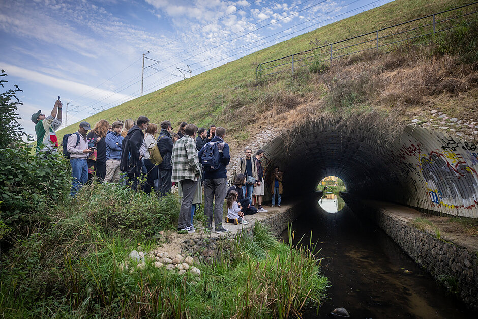 Tunel w nasypie kolejowym. Tu miał zniknąć Weiser_spacer śladami Weisera_7.10.2026_fot. Krzysztof Mystkowski