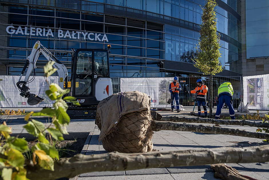 Na placu przed galeria handlową odbywa się akcja sadzenia drzew. Kilka drzewek leży na ziemi, przejeżdża obok mała koparka, w tle mężczyźni sadza drzewko.