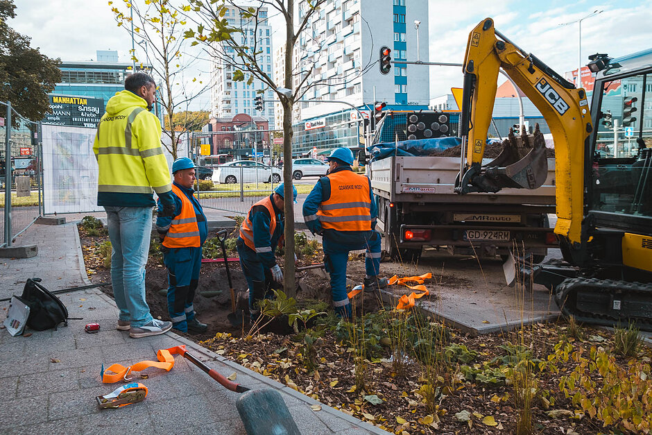 Mężczyźni w kamizelkach roboczych i kaskach sadzą drzewo w mieście.