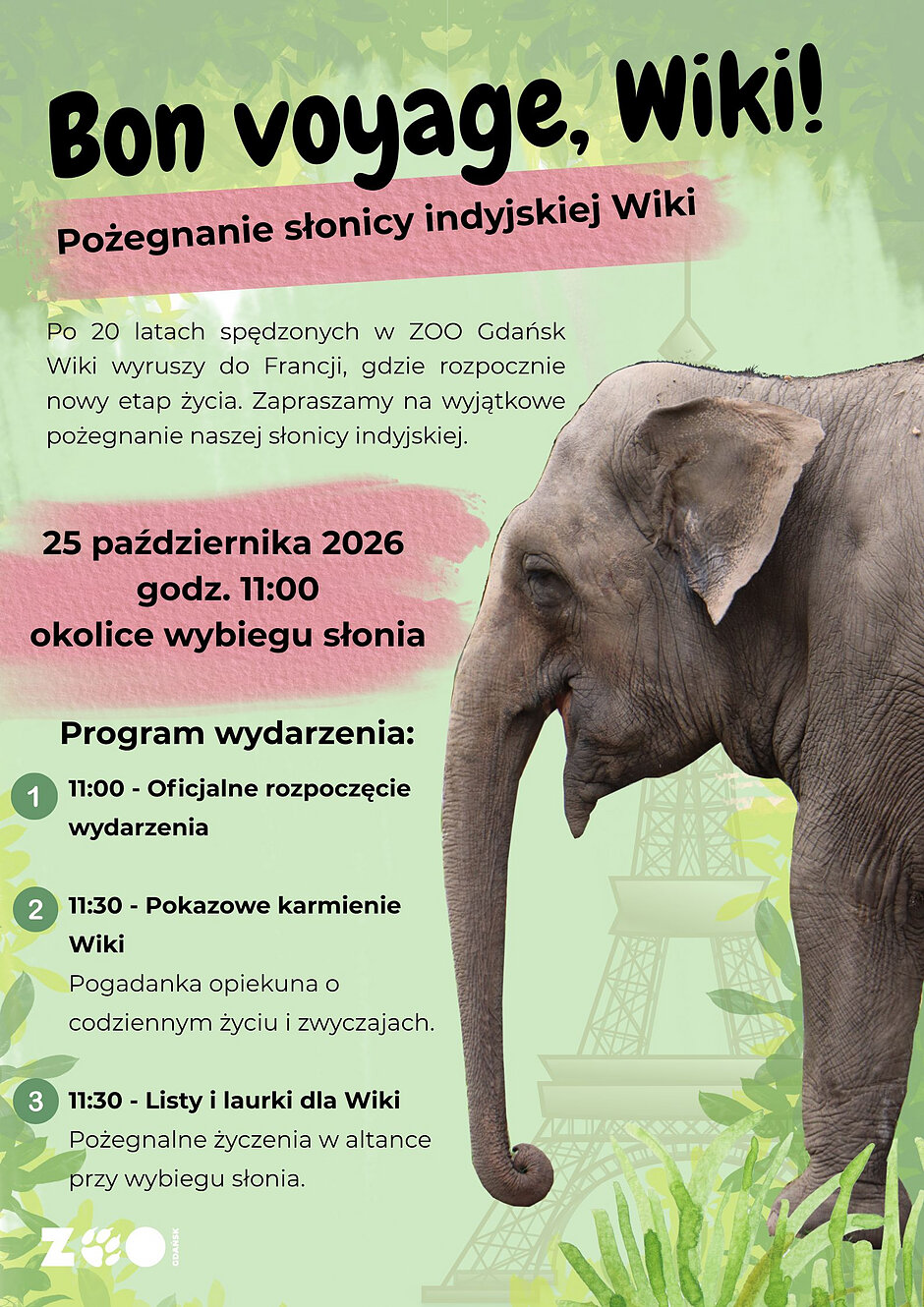 Plakat zaprasza na pożegnanie słonicy indyjskiej Wiki, która po 20 latach spędzonych w ZOO Gdańsk wyrusza do Francji. Wydarzenie odbędzie się 25 października 2026 roku o godzinie 11:00 w okolicach wybiegu słonia, a w programie przewidziano m.in. pokazowe karmienie oraz składanie pożegnalnych życzeń.