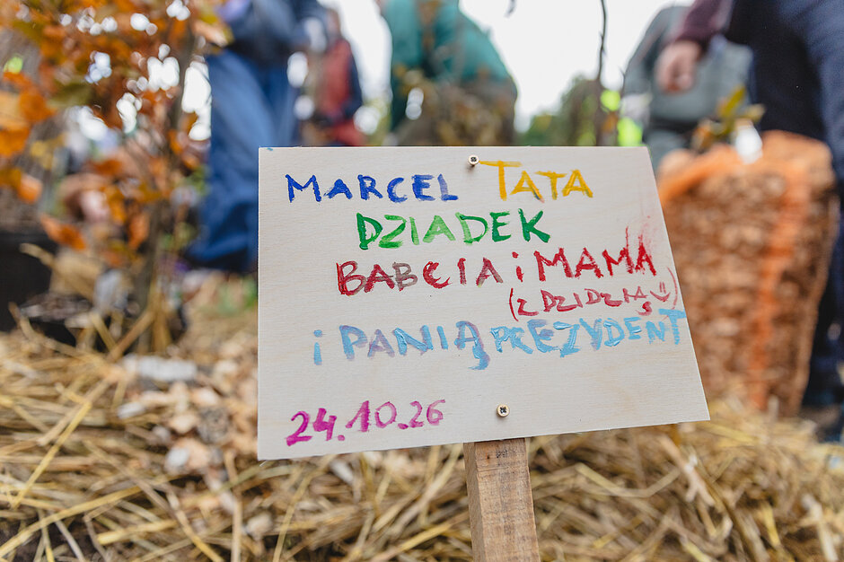 Tabliczka ręcznie wykonana przez uczestników sadzenia mikrolasu