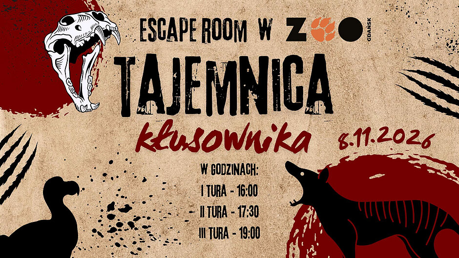 Grafika ze zwierzętami i informacją o wydarzeniu w zoo escape room.