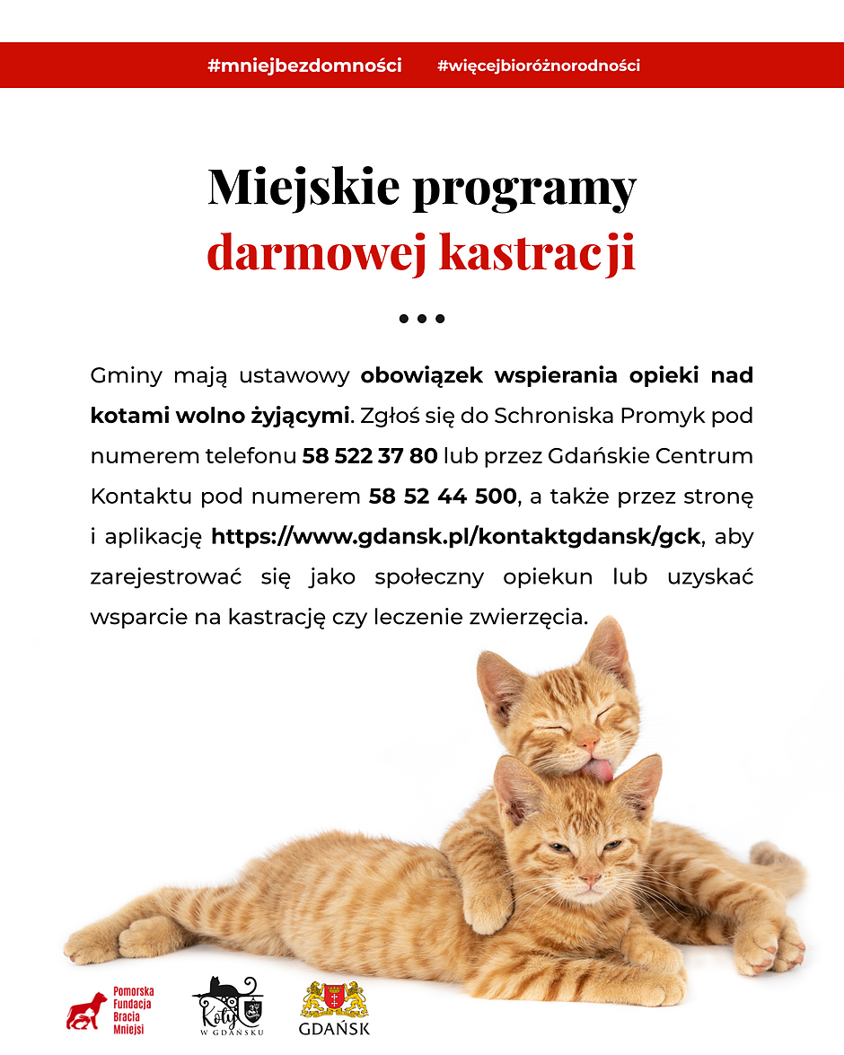 Infografika dotycząca kastracji 