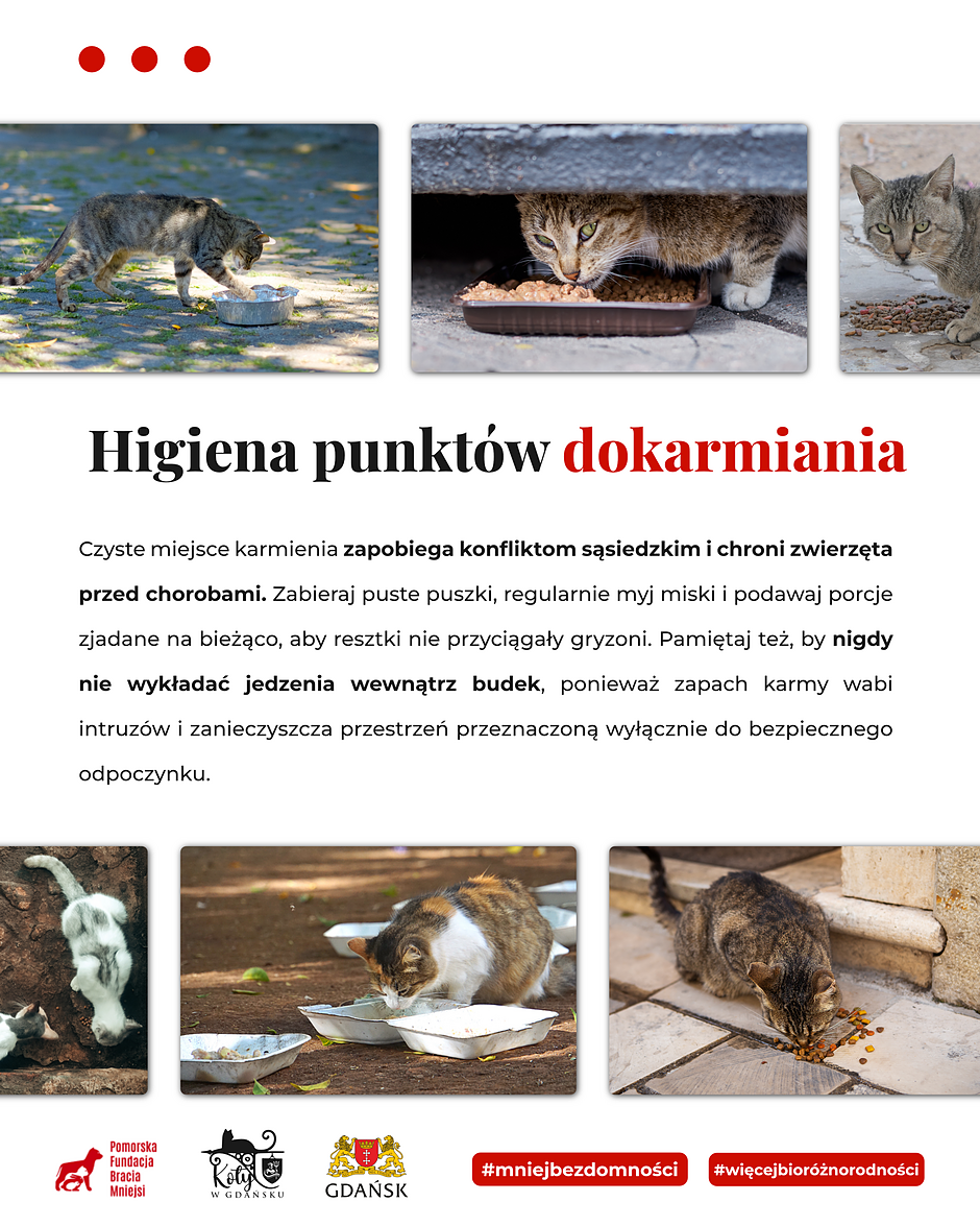 Infografika informująca o zachowaniu higieny w punktach dokarmiania