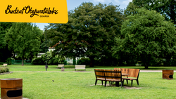 na zdjęciu fragment parku, widać drewniane brązowe ławki, brązowe okrągłe kosze na śmieci i zielony trawnik 