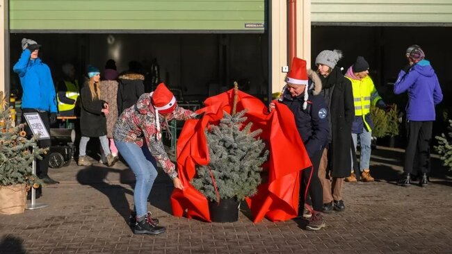 Mężczyzna w mikołajowej czapce popycha dwukołowy wózek z drzewkiem w donicy