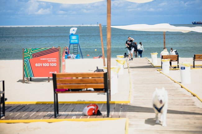Na zdjęciu widać plażę nad morzem z drewnianym pomostem prowadzącym w stronę wody, gdzie kilka osób spaceruje i siedzi na ławkach. Na pierwszym planie po lewej stronie znajduje się tablica z numerem ratunkowym nad wodą, a po prawej biały pies idący w stronę fotografa.